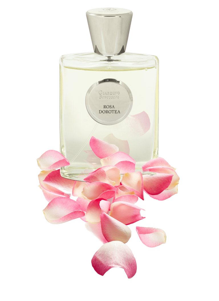 GB_ROSA DOROTEA_Bouquet